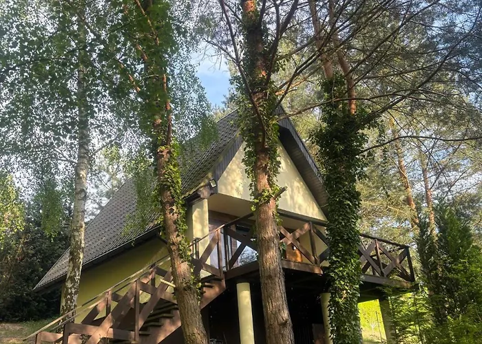 Domek Sosnowe Wzgorze Wiktorowo